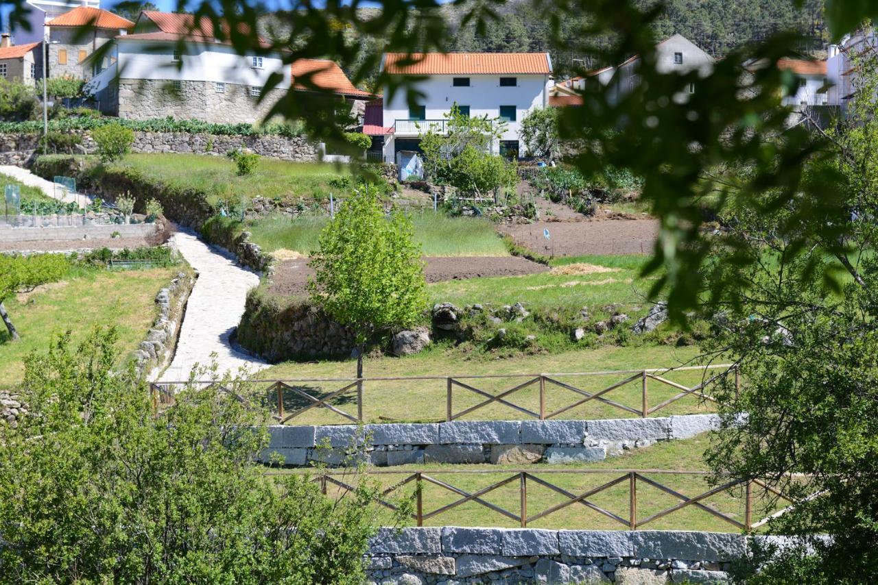 Casa Dos Alcaides Villa Sabugueiro  Kültér fotó